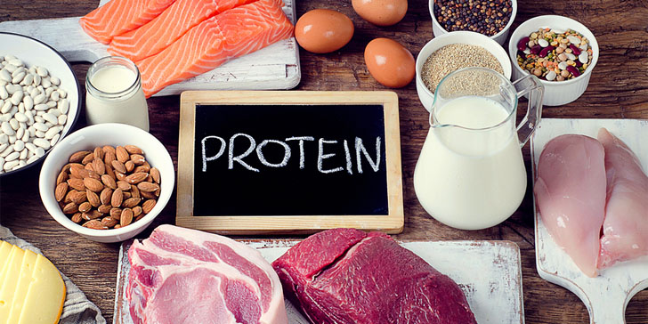 How much protein per day