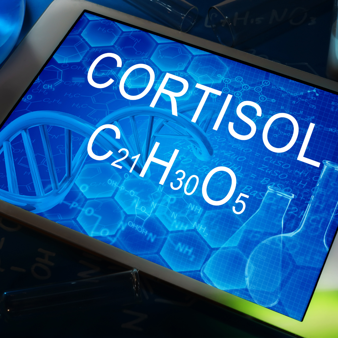 cortisol