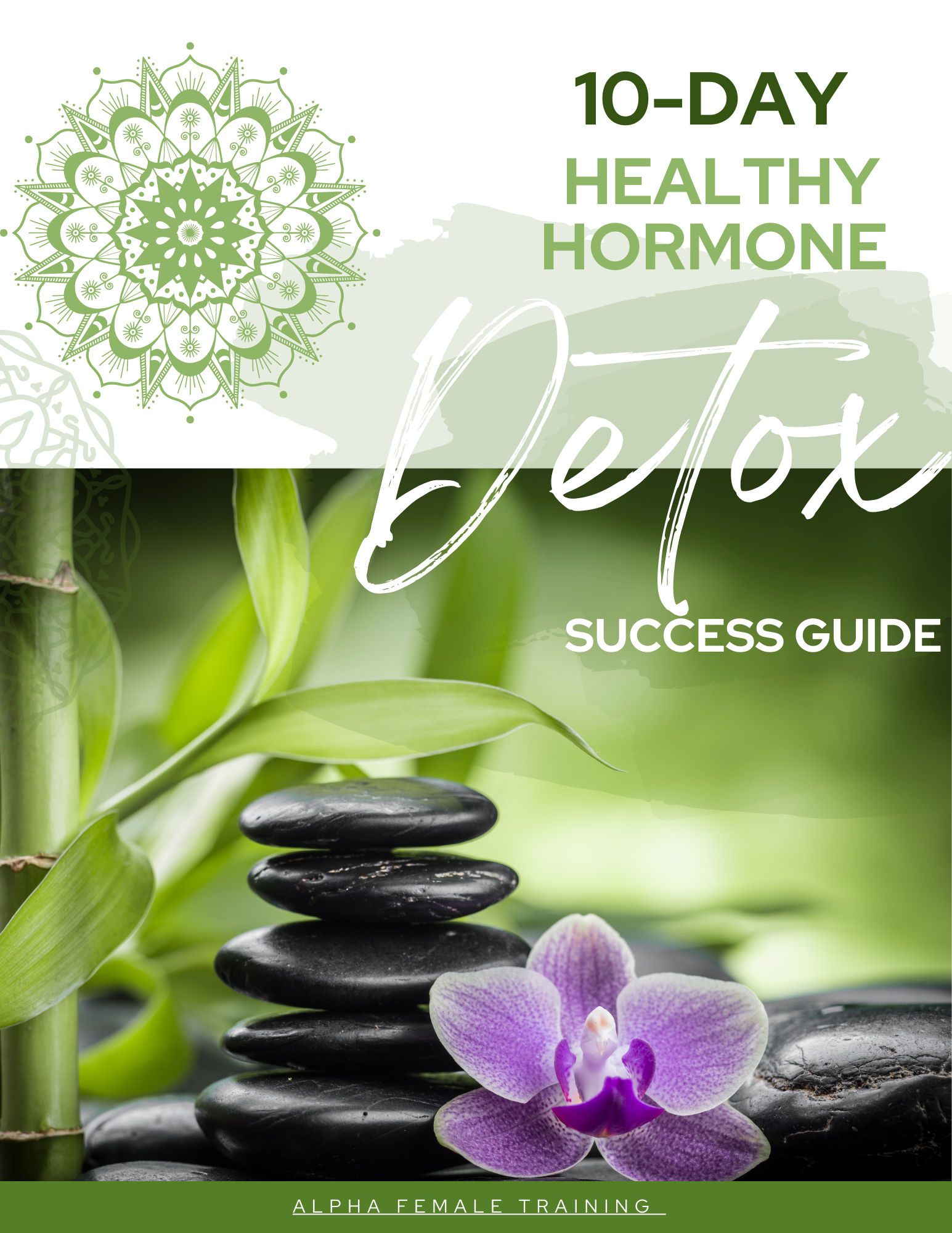 hormone detox guide