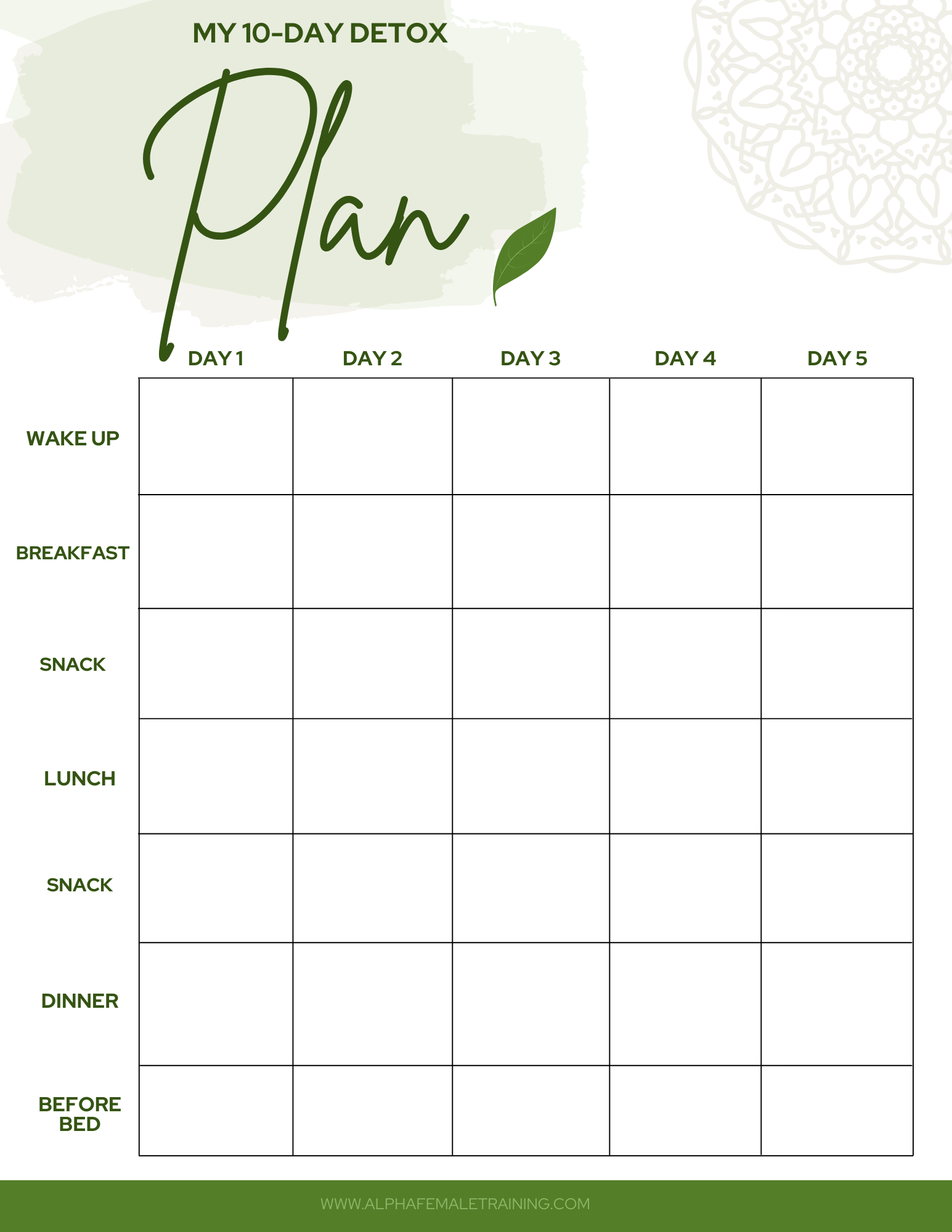 hormone detox printable plan