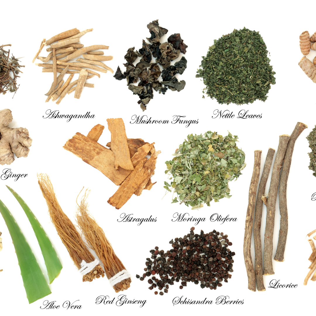 adaptogen herbs