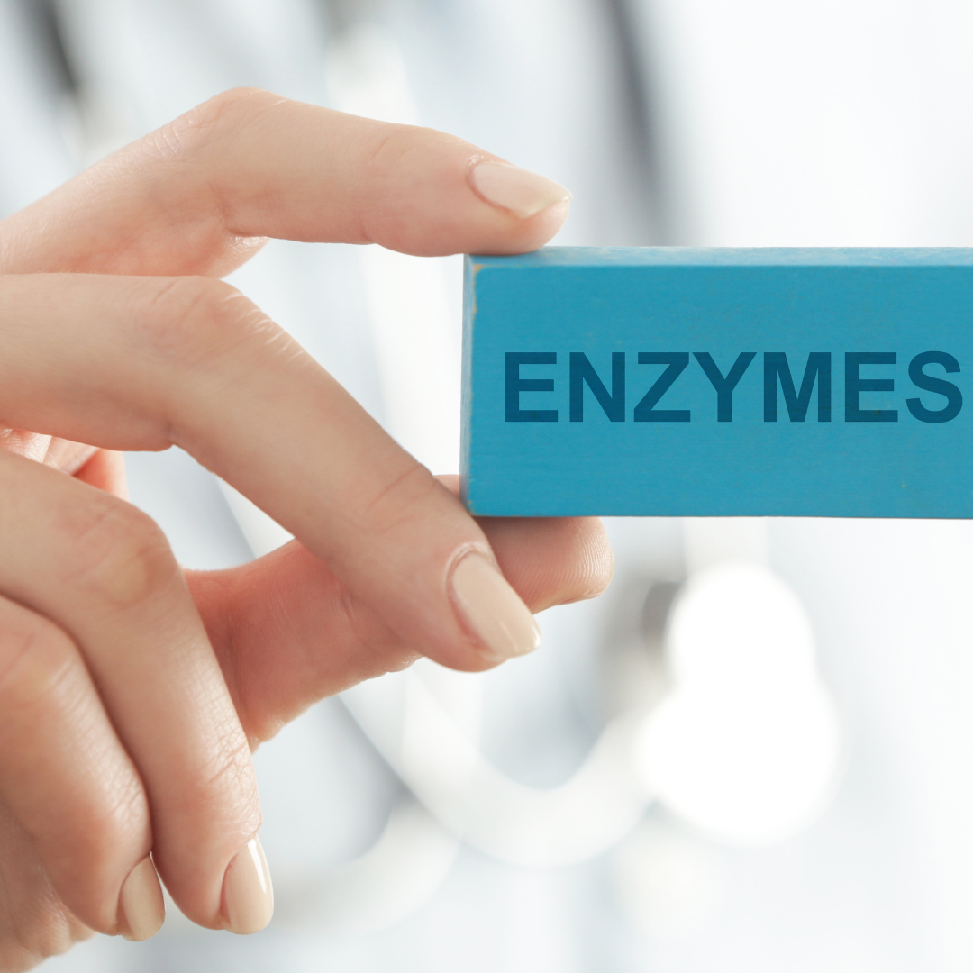 All about digestive enzymes
