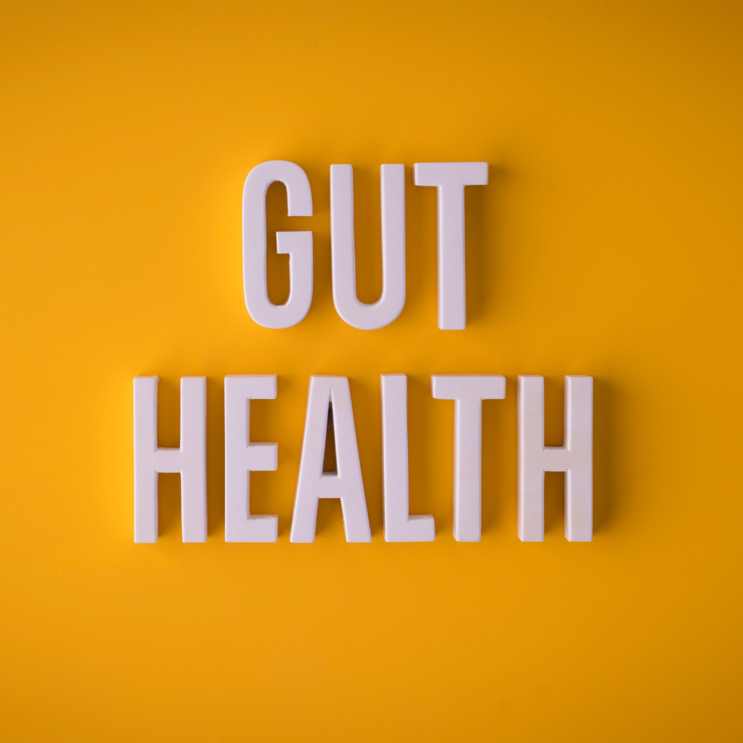 gut health 