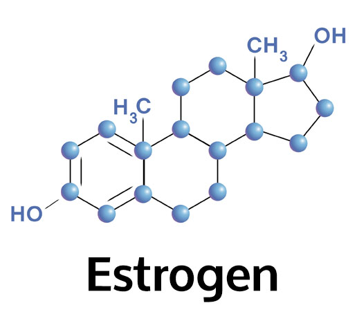 What is estrogen dominance? This refers to a condition where your body continually produces estrogen in excess as compared to progesterone
