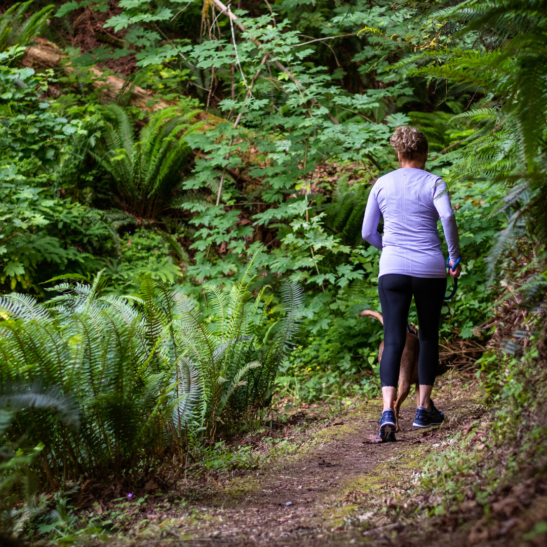 walking in the woods